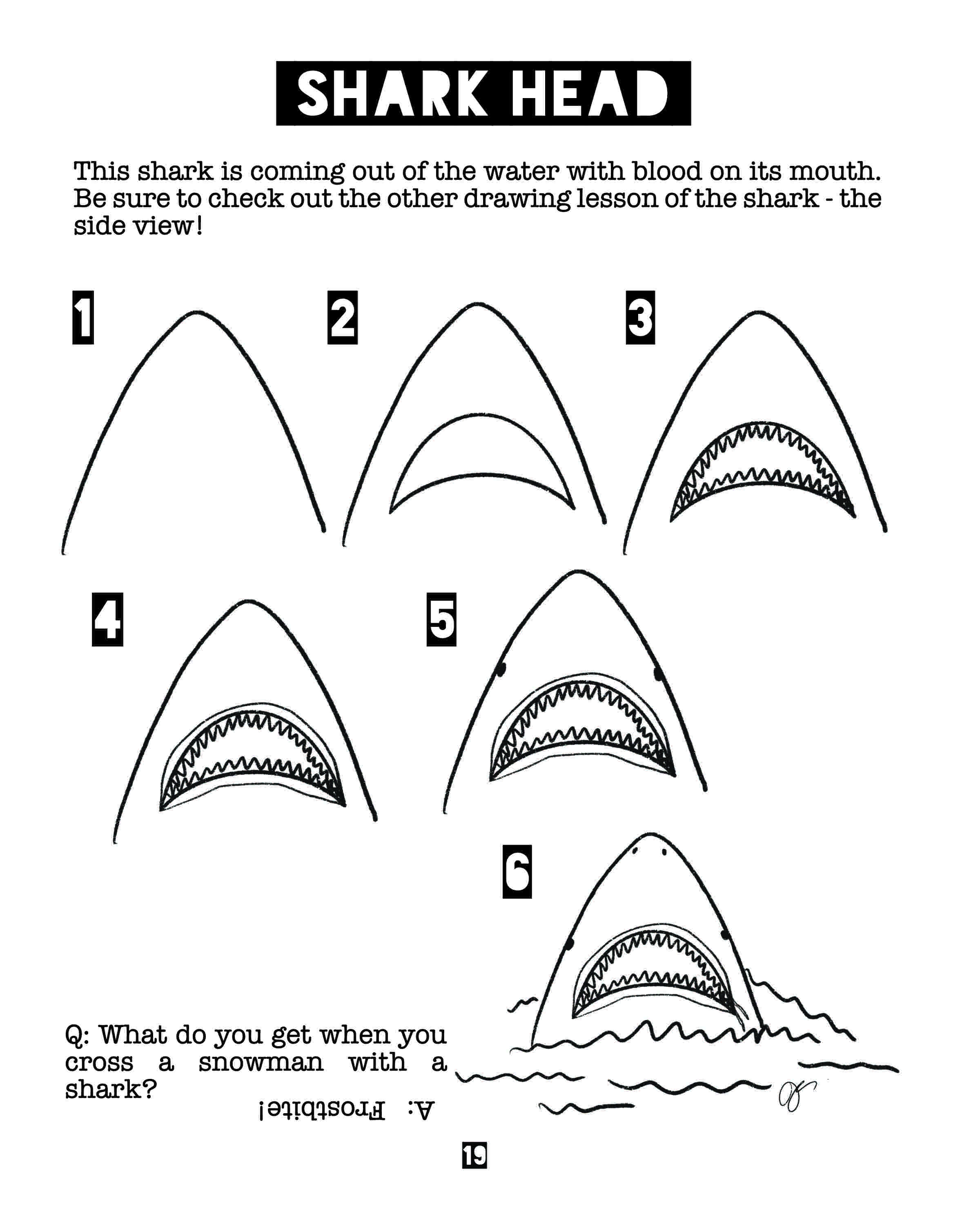 how to draw a shark head