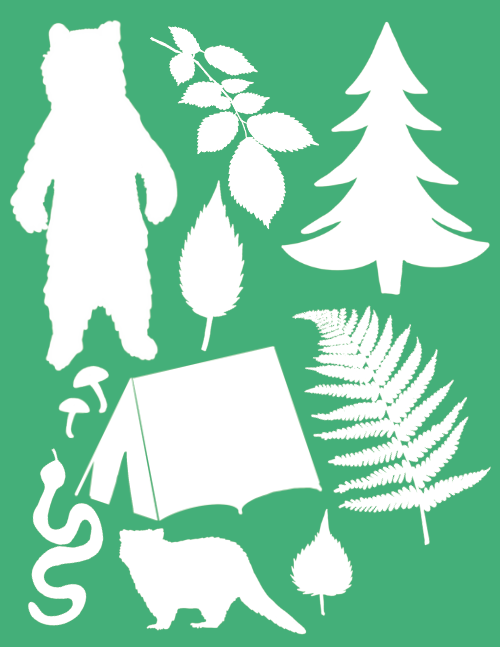 green camping journal rear cover